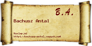 Bachusz Antal névjegykártya