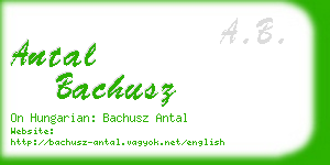 antal bachusz business card